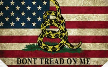 DTOM Stars & Stripes print