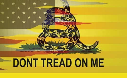 Gadsden Gold print