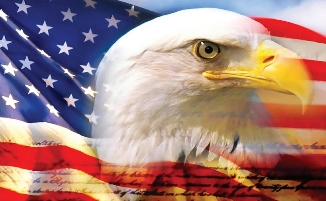 Eagle Flag print