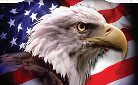 Eagle Stars print