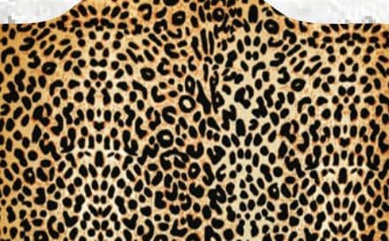 Leopard print