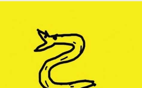 No Step on Snek print